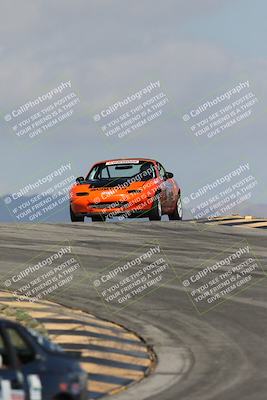 media/Oct-11-2025-Lucky Dog Racing (Sat) [[f5b53147c4]]/2-First Stint/2-Turns 9 and 10/